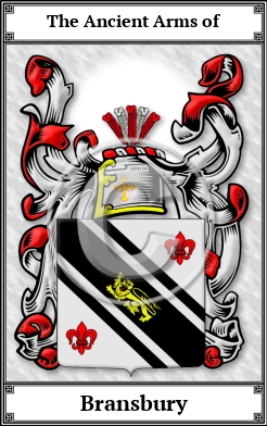 Bransbury Family Crest Download (JPG)  Book Plated - 150 DPI