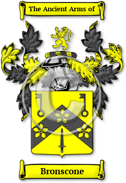 Bronscone Family Crest Download (JPG) Legacy Series - 600 DPI