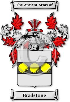 Bradstone Family Crest Download (JPG) Legacy Series - 600 DPI