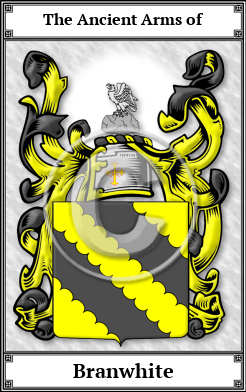 Branwhite Family Crest Download (JPG)  Book Plated - 150 DPI