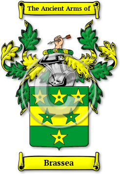 Brassea Family Crest Download (JPG) Legacy Series - 600 DPI