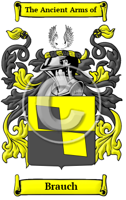 Brauch Family Crest Download (JPG) Heritage Series - 600 DPI