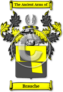 Brauche Family Crest Download (JPG) Legacy Series - 600 DPI