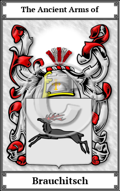 Brauchitsch Family Crest Download (JPG) Book Plated - 600 DPI