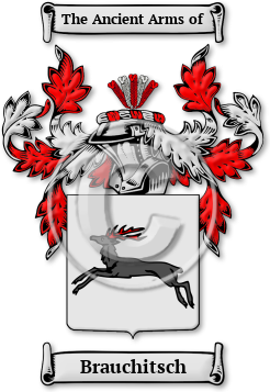 Brauchitsch Family Crest Download (JPG) Legacy Series - 600 DPI