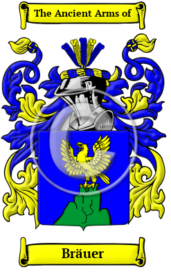 Bräuer Family Crest Download (JPG) Heritage Series - 300 DPI