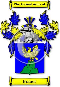 Brauer Family Crest Download (JPG) Legacy Series - 600 DPI