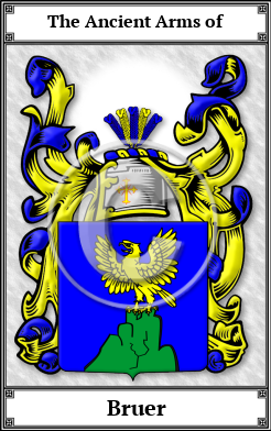 Bruer Family Crest Download (JPG)  Book Plated - 150 DPI