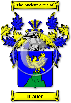 Bräuer Family Crest Download (jpg) Legacy Series - 150 DPI