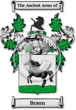 Braun Family Crest Download (jpg) Legacy Series - 150 DPI