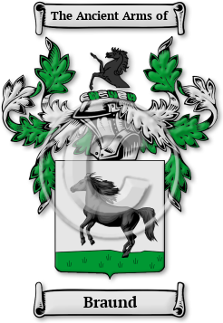 Braund Family Crest Download (jpg) Legacy Series - 150 DPI