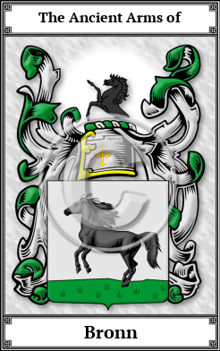 Bronn Family Crest Download (JPG)  Book Plated - 150 DPI