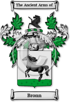 Bronn Family Crest Download (jpg) Legacy Series - 150 DPI