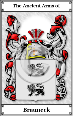 Brauneck Family Crest Download (JPG) Book Plated - 600 DPI