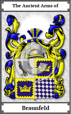 Braunfeld Family Crest Download (JPG)  Book Plated - 150 DPI