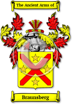 Braunsberg Family Crest Download (jpg) Legacy Series - 150 DPI