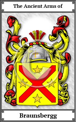 Braunsbergg Family Crest Download (JPG) Book Plated - 600 DPI