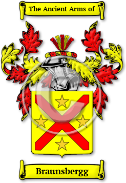 Braunsbergg Family Crest Download (JPG) Legacy Series - 600 DPI