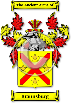 Braunsburg Family Crest Download (jpg) Legacy Series - 150 DPI