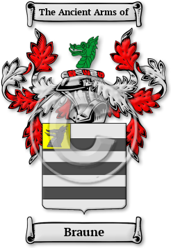 Braune Family Crest Download (JPG) Legacy Series - 600 DPI