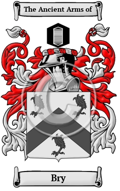Bry Family Crest Download (jpg) Heritage Series - 150 DPI