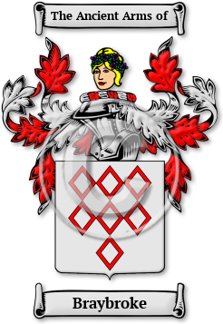 Braybroke Family Crest Download (jpg) Legacy Series - 150 DPI