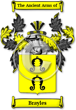 Brayles Family Crest Download (jpg) Legacy Series - 150 DPI
