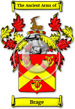 Brage Family Crest Download (jpg) Legacy Series - 150 DPI