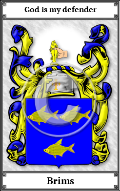 Brims Family Crest Download (JPG) Book Plated - 600 DPI