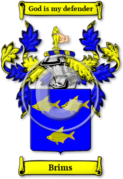 Brims Family Crest Download (JPG) Legacy Series - 600 DPI