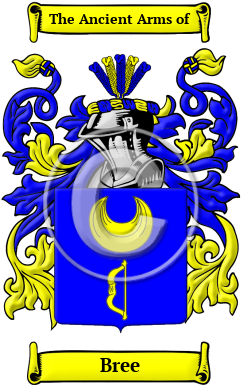 Bree Family Crest/Coat of Arms