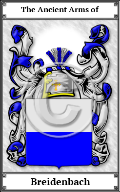 Breidenbach Family Crest Download (JPG)  Book Plated - 150 DPI