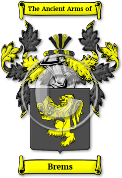 Brems Family Crest Download (JPG) Legacy Series - 600 DPI