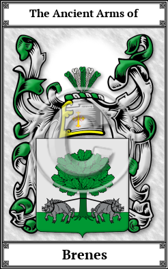 Brenes Family Crest Download (JPG)  Book Plated - 150 DPI