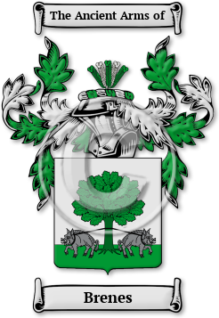 Brenes Family Crest Download (jpg) Legacy Series - 150 DPI