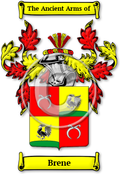 Brene Family Crest Download (jpg) Legacy Series - 150 DPI