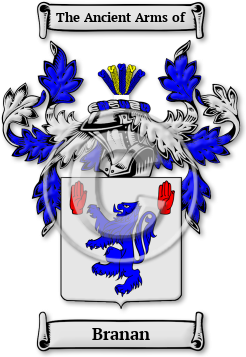 Branan Family Crest Download (jpg) Legacy Series - 150 DPI