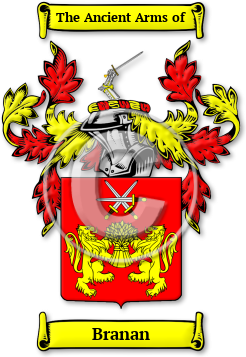 Branan Family Crest Download (jpg) Legacy Series - 150 DPI