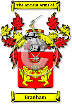Branham Family Crest Download (jpg) Legacy Series - 150 DPI