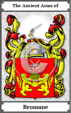 Bromane Family Crest Download (JPG) Book Plated - 600 DPI