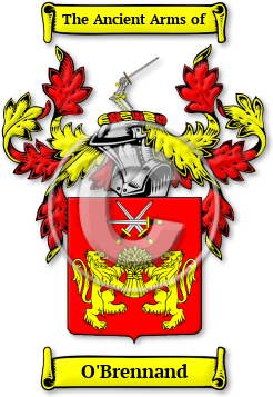 O'Brennand Family Crest Download (JPG) Legacy Series - 600 DPI