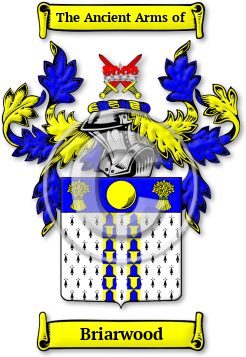 Briarwood Family Crest Download (jpg) Legacy Series - 150 DPI