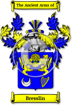 Bresslin Family Crest Download (jpg) Legacy Series - 150 DPI