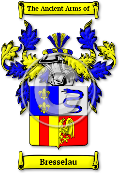 Bresselau Family Crest Download (jpg) Legacy Series - 150 DPI
