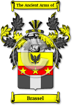 Brassel Family Crest Download (jpg) Legacy Series - 150 DPI