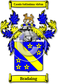 Bradaing Family Crest Download (jpg) Legacy Series - 150 DPI