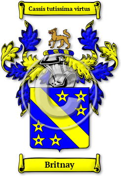 Britnay Family Crest Download (jpg) Legacy Series - 150 DPI