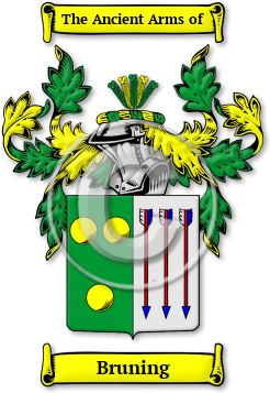 Bruning Family Crest Download (JPG) Legacy Series - 600 DPI