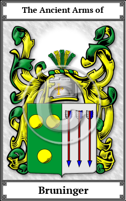 Bruninger Family Crest Download (JPG) Book Plated - 600 DPI