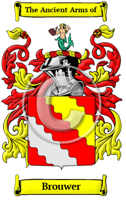 Brouwer Family Crest Download (JPG) Heritage Series - 600 DPI